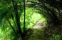 Garden Delight Full-Day Tour in Barbados