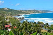 Barbados Island Tour with Lunch and Wildlife Sanctuary