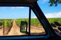 Wine Beer and Biltong Safari - Stellenbosch