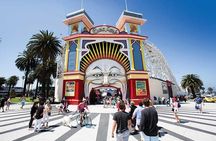 Private 8 Hour Melbourne Tour including Moonlit Sanctuary Visit.