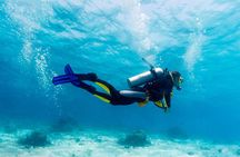 Scuba Referral Dives & Beach Club with Transportation In Riviera Maya