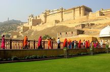 Private Jaipur Day Trip with Forts and Royal Palaces visit with Lunch from Delhi