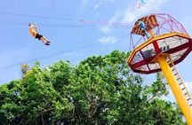 Rainforest Zipline in Foothills of the National Rainforest
