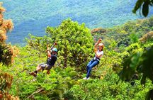 Rainforest Zipline in Foothills of the National Rainforest