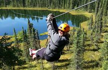 Denali Zipline Tour in Talkeetna, AK