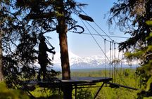 Denali Zipline Tour in Talkeetna, AK