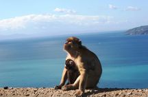 Gibraltar with Rock of Gibraltar & St. Michael Cave from Seville