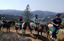 Sonoma Horseback-Riding Tour