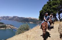 Sonoma Horseback-Riding Tour