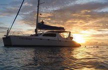 Afternoon Luxury Catamaran Sailing and Charter Cruise from Bridgetown