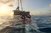 Afternoon Luxury Catamaran Sailing and Charter Cruise from Bridgetown
