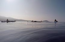 Makena Whale Watching and Snorkel