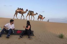 Half Day Camel Safari Sunset with Dinner Tour (Non Touristic)