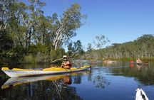Self-Guided Noosa Everglades Kayak Tour