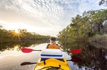 Self-Guided Noosa Everglades Kayak Tour