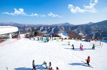 Elysian Gangchon Ski Resort with Nami Island Day Tour from Seoul