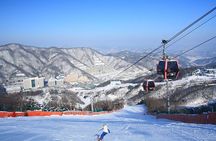 Vivaldi Park Winter Ski Resort with Nami Island Tour from Seoul
