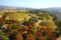 Gyeongju Autumn Foliage Day Tour from Busan with Historic Sites