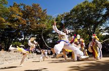 Korean Folk Village and Suwon Hwaseong Fortress Day Tour(EG Tour)