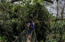 Full-Day Kinabalu Park and Poring Hot Spring Day Trip