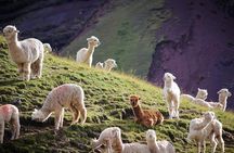 Rainbow Mountain tour with Overnight 1 hour away - Hotel Included