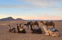 02 Days Marrakech - Ouarzazate - Zagora