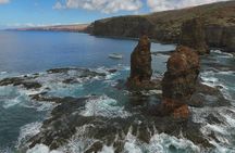 Private Snorkel Tour 3 Hrs 1 stop from Kaanapali Beach 