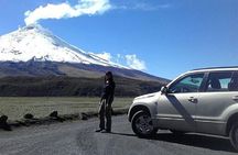 Private Tour Cotopaxi National Park: hiking experience to 4800 m
