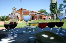 Bouza Winery only Lunch (Esp, Eng, Port)