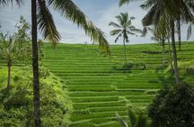 Discover Bali in 2 Days Private Tour Package