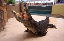Darwin Hop-on Hop-off Bus Tour