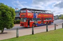 Darwin Shore Excursion: Hop-on Hop-off Bus Tour