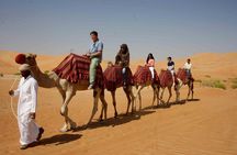 Dubai: Desert Camel Ride with Live Shows & BBQ Buffet Dinner