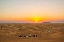Sundowner Evening Safari