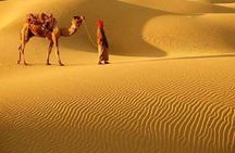 A Camel Safari Through The Thar Desert Sand Dunes Near Bikaner
