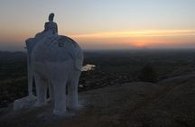 Narlai Leopard Safari and Village Walk