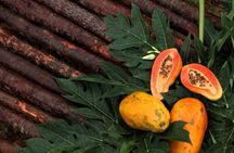 Visit to an Organic Farm in Cumbum Valley - Tamil Nadu