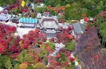 Kyoto Helicopter Tour【20 min】 : Major Shrines and Temples