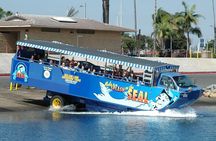 San Diego Shore Excursion: San Diego Seal Tour