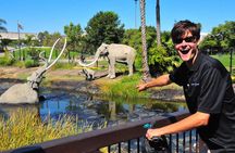 La Brea Tar Pits Tour by Segway