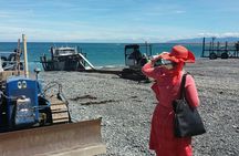 "Pinot to Palliser tour" - Guided tour to Cape Palliser vith lunch + winetasting