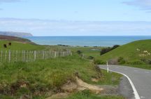"Pinot to Palliser tour" - Guided tour to Cape Palliser vith lunch + winetasting