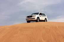 Desert Safari