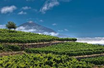 Bodegas Monje Winery Ticket w/Wine Tasting & Mojo Sauce Workshop