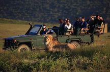 2 Day Safari Experience from Cape Town 