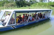 Tortuguero Canal Boat Tour: From Puerto Limon