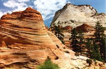 Small-Group Zion National Park Day Tour from Las Vegas