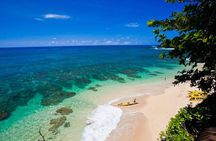 Hanalei River Paddle and Bay Snorkel Tours (LUNCH INCLUDED)