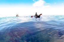  Kauai Sea Kayaking 10 mile tour - Na Pali Iki (Polihale to Milolii)