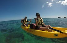 Kailua 2-Hour Guided Kayaking Excursion, Oahu